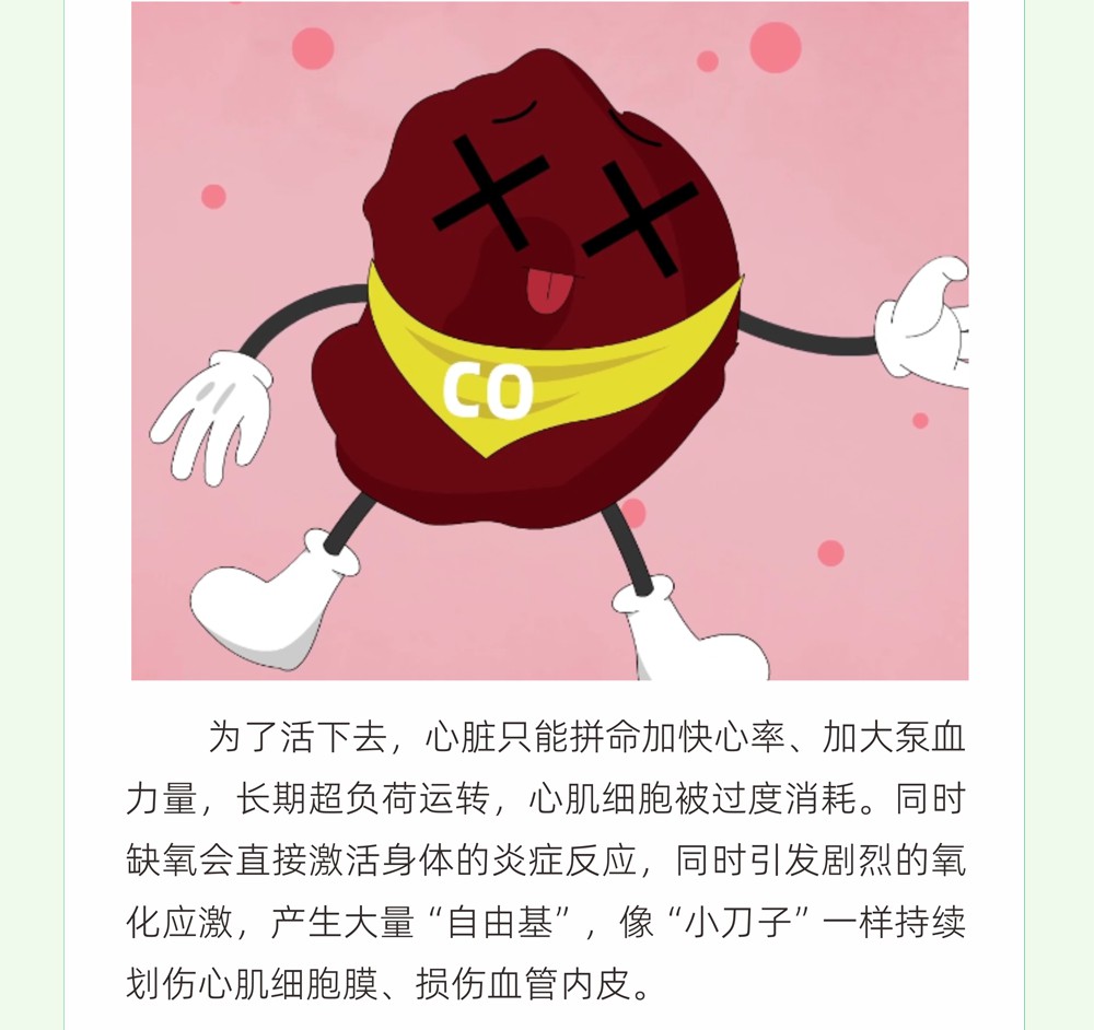 B4关注红细胞寿命，降低猝死风险_04